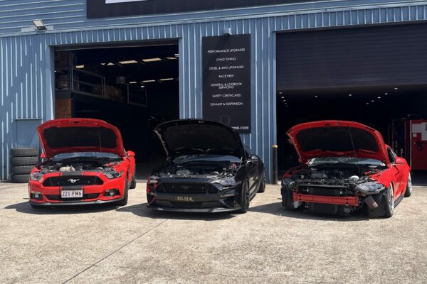 3 Ford Mustangs